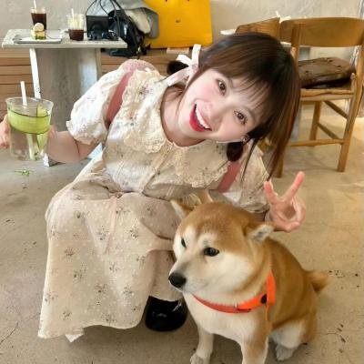 爱莲妹妹