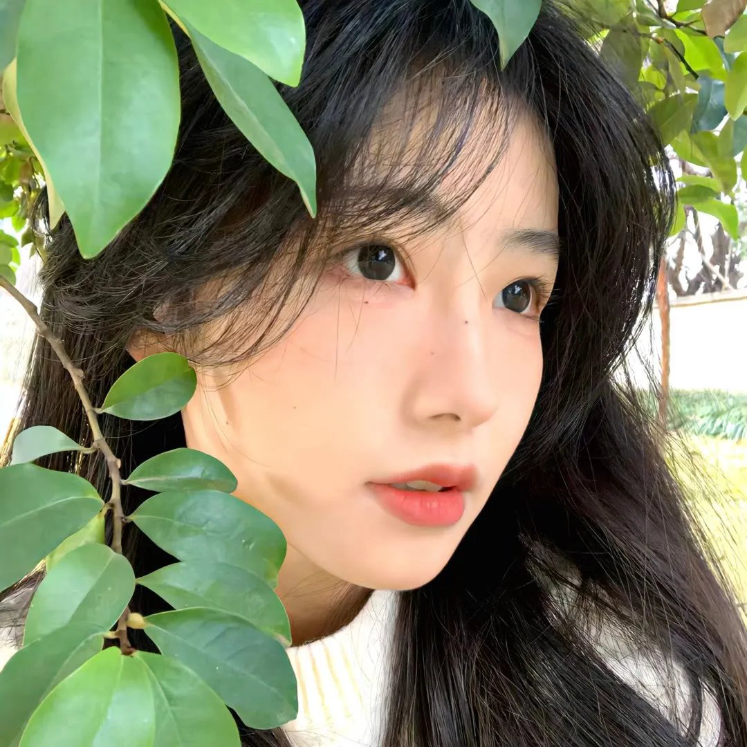 夏日光年